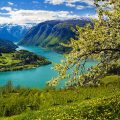 a shot of a green fjord and coast a body of emerald water