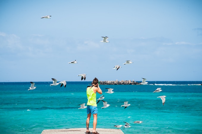 A boy photographing seagulls on a beach in Nassau, Bahamas