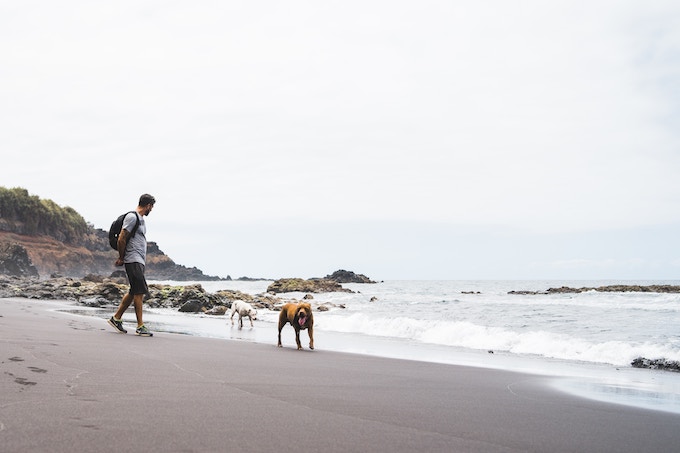 A man walking two dogs on a black sand beach in Tenerife, Spain