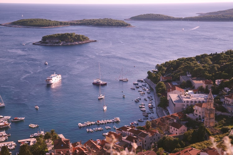 boats moored in cove 