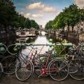 assorted-color bicycles park beside blue rails near river