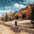 man walking on pathway with his dog