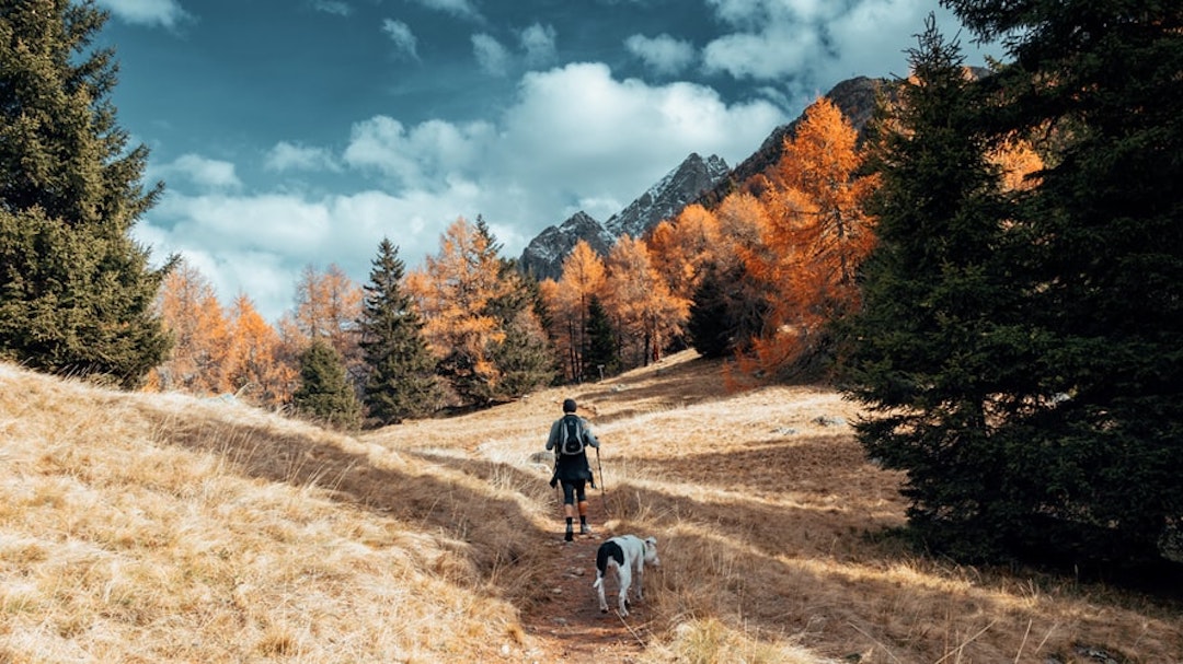 man walking on pathway with his dog