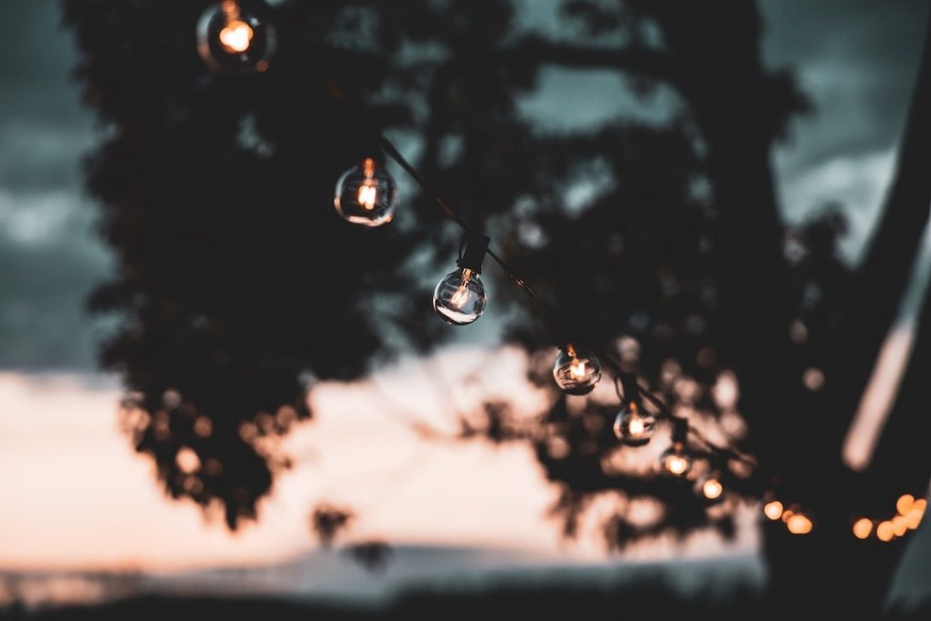 String lights hanging from a tree at sunset