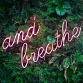 Neon sign that says and breathe on a wall with plants