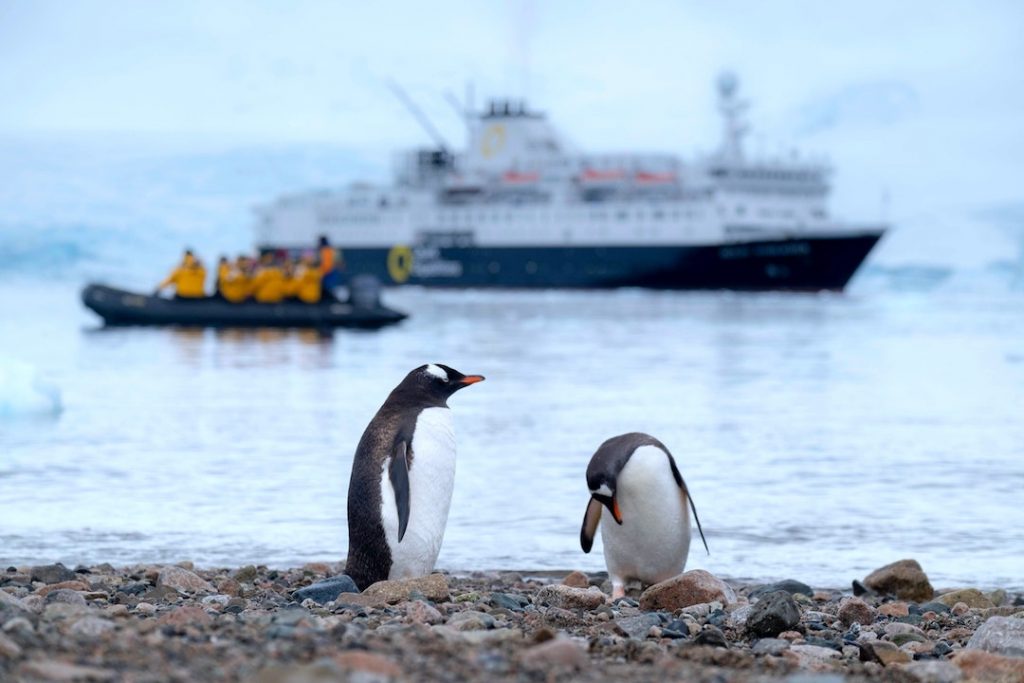 Two penguins with ship in the background in Antarctica