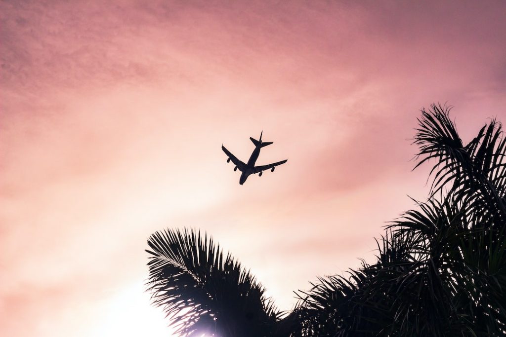 Silhouette of plane flying in the air with a pink sky and palm tree branches