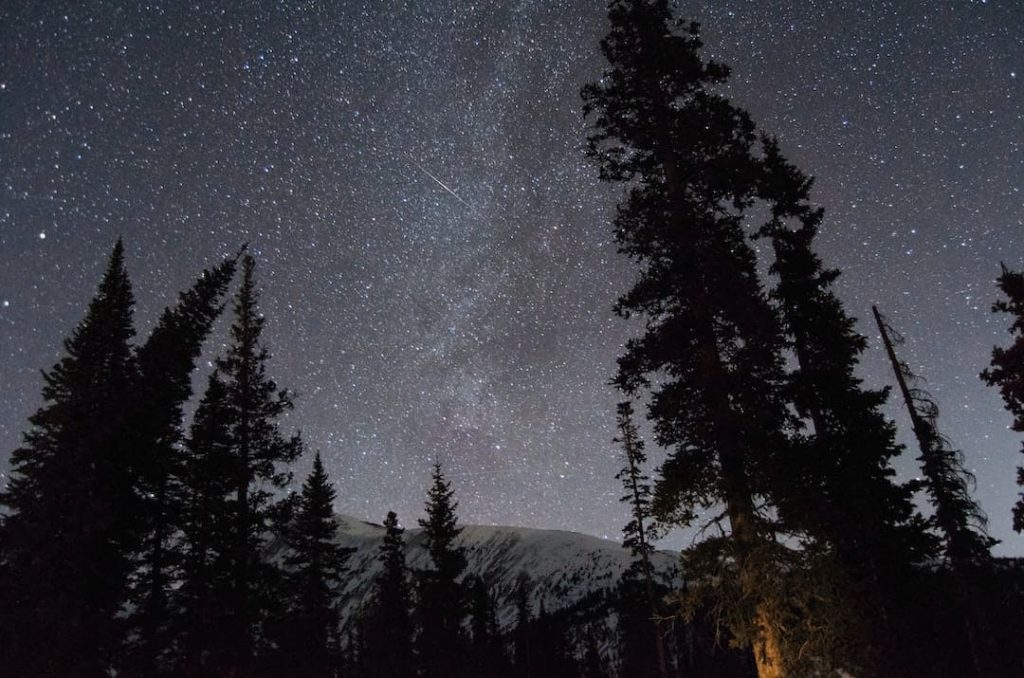 A shooting star streaking across a starry sky with the silhouette of trees