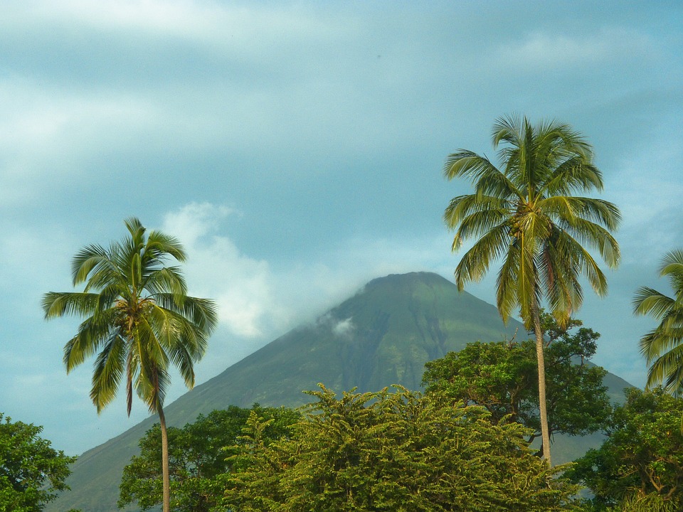 green palm trees soar into the sky with a volcano off in the distance