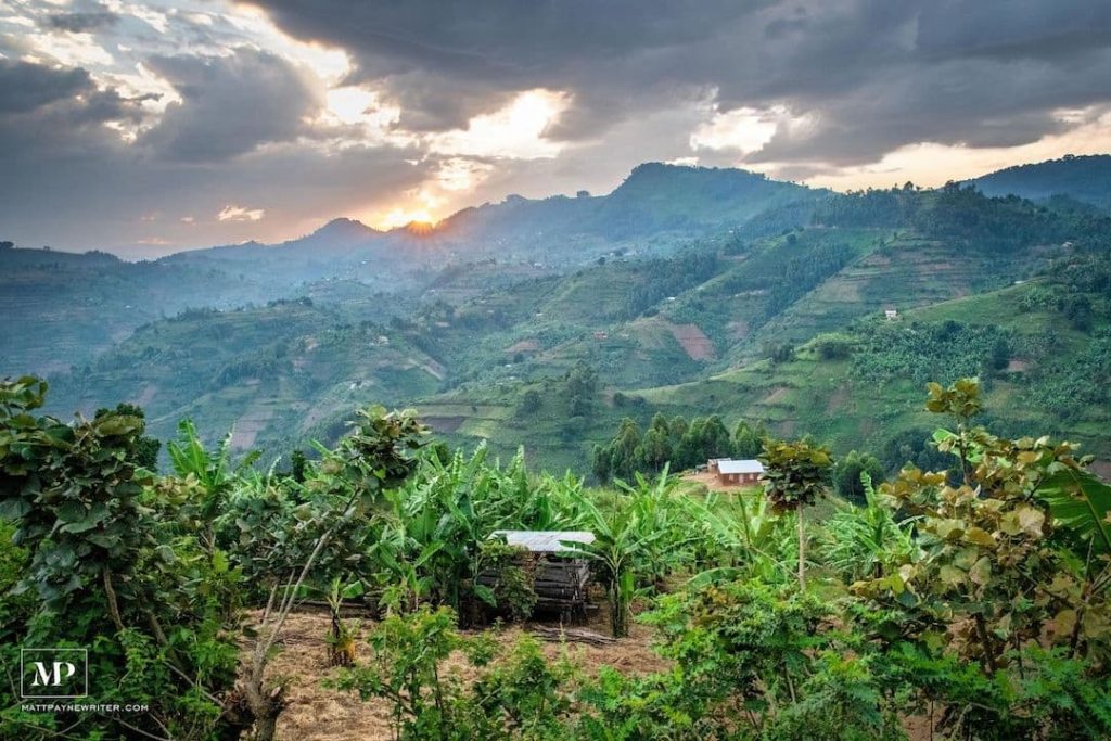 Rolling hills and greenery in Uganda