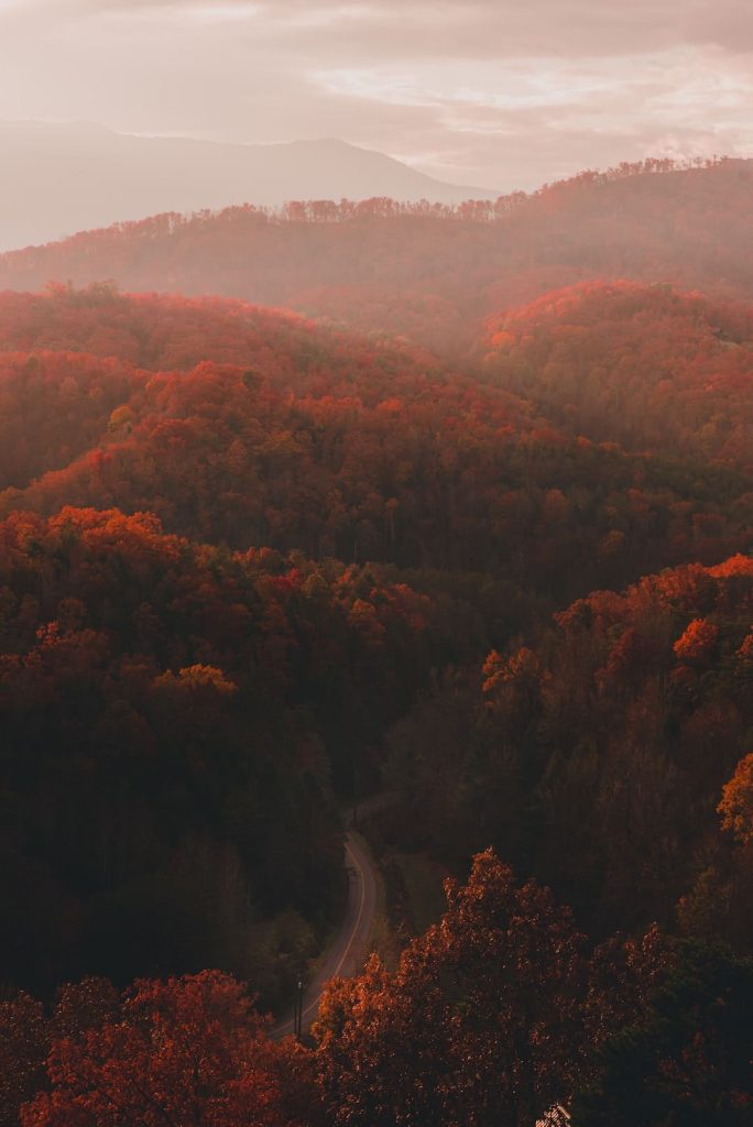 Great Smoky Mountains National Park