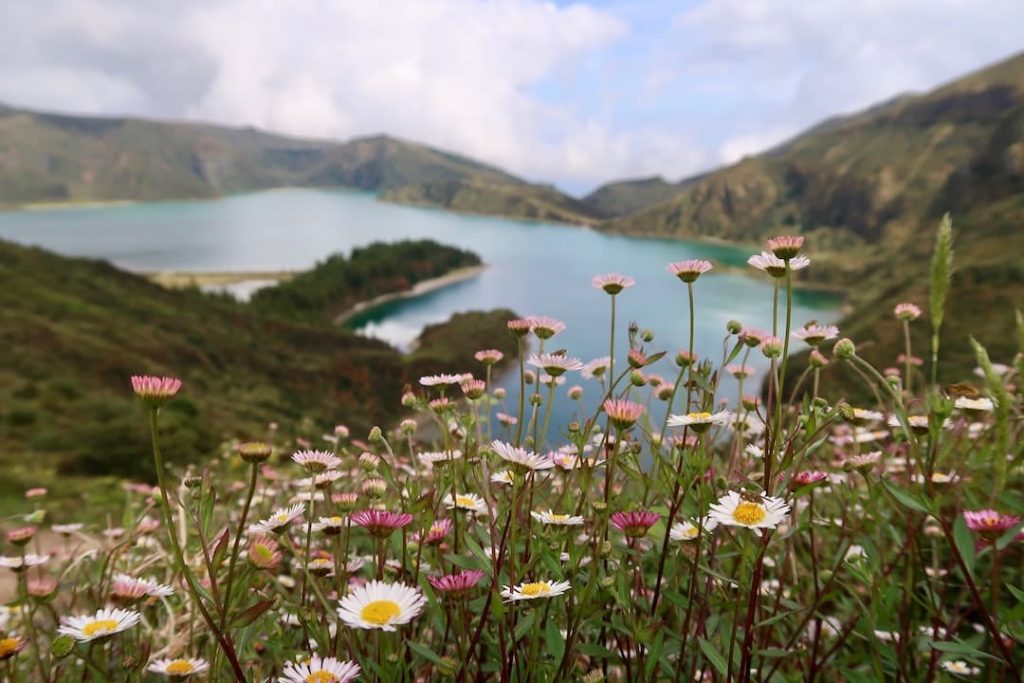 The Azores