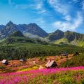 Gasienicowa Valley in Tatras Mountains