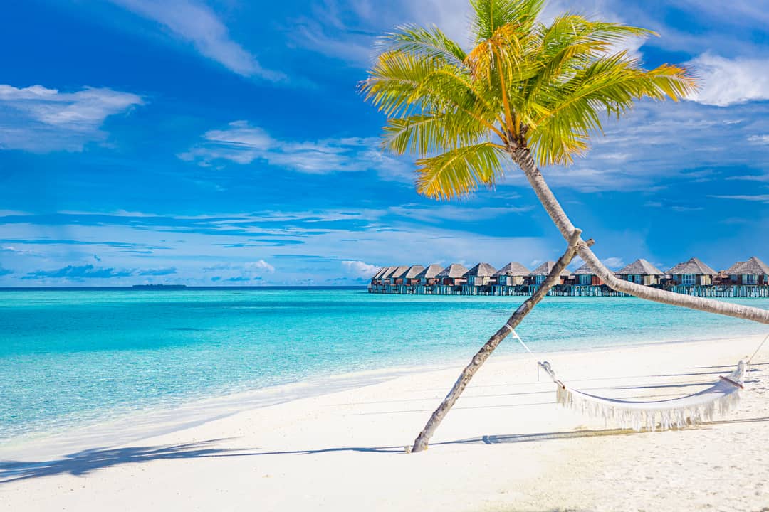 Beach view displaying a palm tree, white sand, crystal clear blue water, and a row of luxury villas.