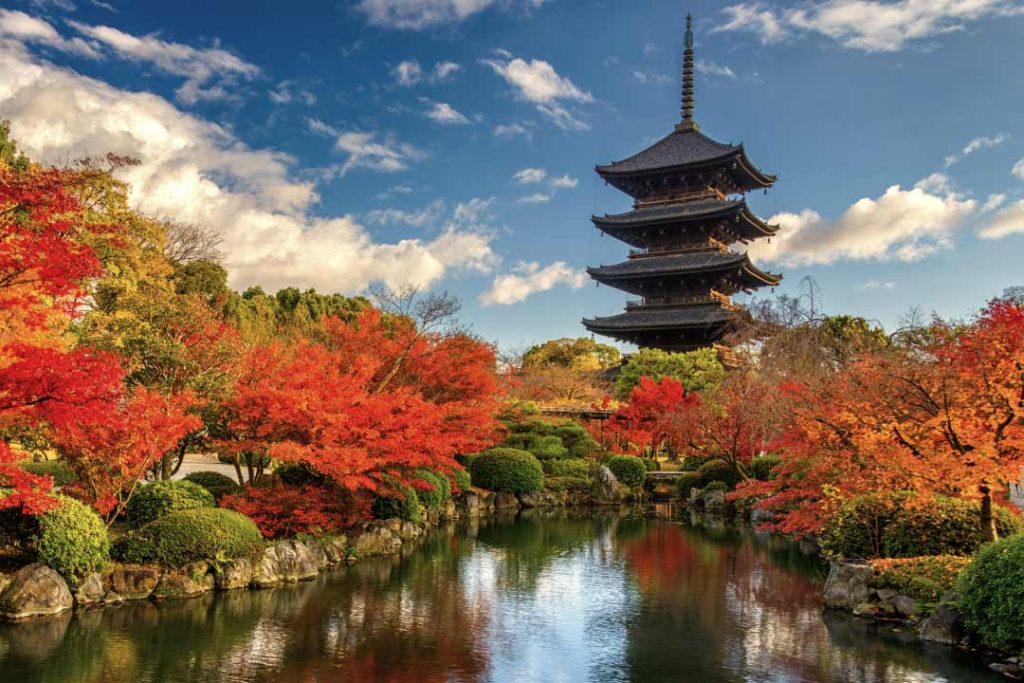 Autumn foliage at the majestic Tooji pagoda in Kyoto