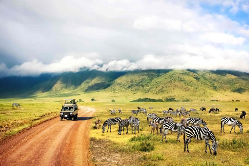 Best Safari Destinations in Africa for 2024