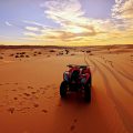 Algerian desert